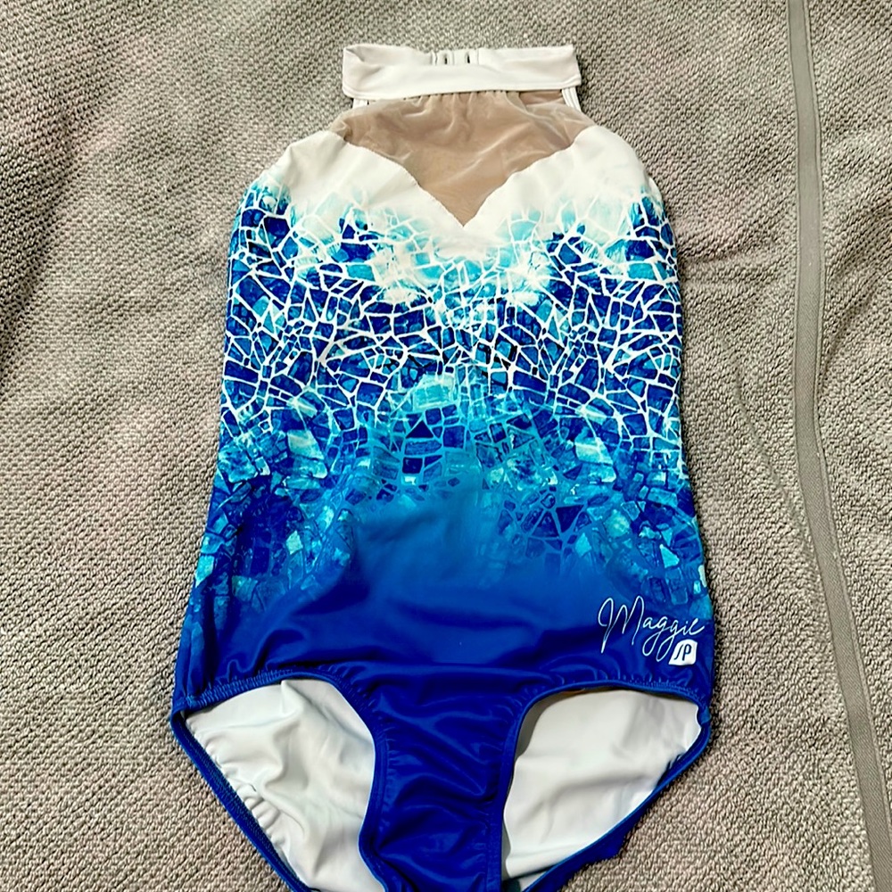 Sylvia P Maggie Nichols collection AXS gymnastics